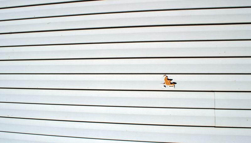 Preparing for Siding Repair